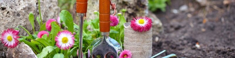 Gardening tools and spring flowers in the garden. Gardening concept.