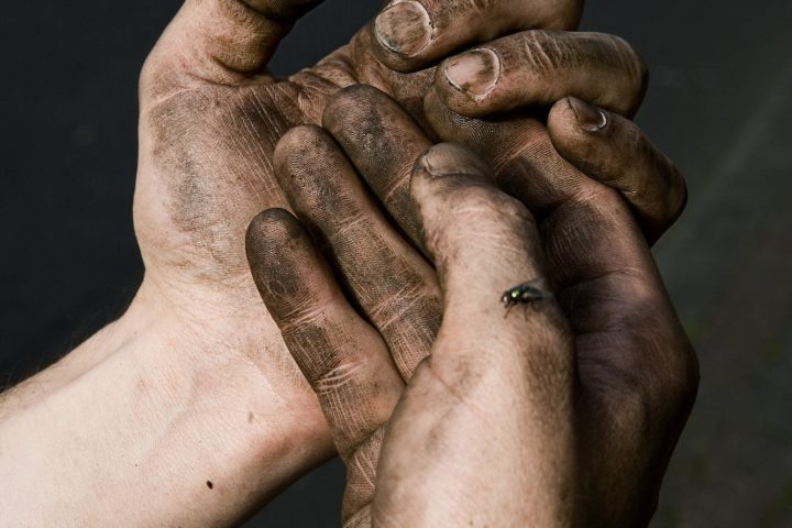 Vertical shot of male dirty hands after work with a fly standing on it
