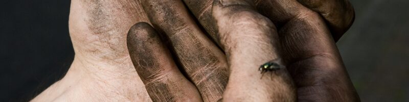 Vertical shot of male dirty hands after work with a fly standing on it