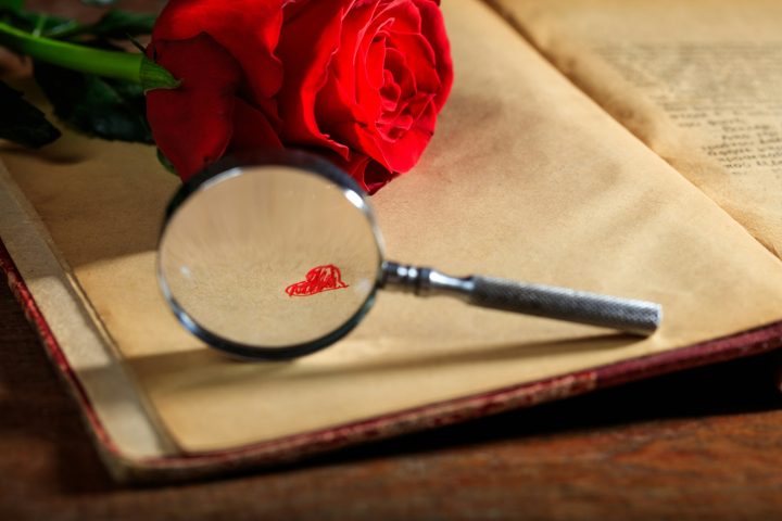 Magnifying glass and red rose on a book