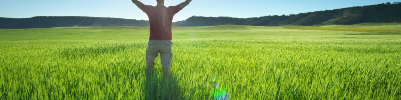 Man in green meadow and sunshine.